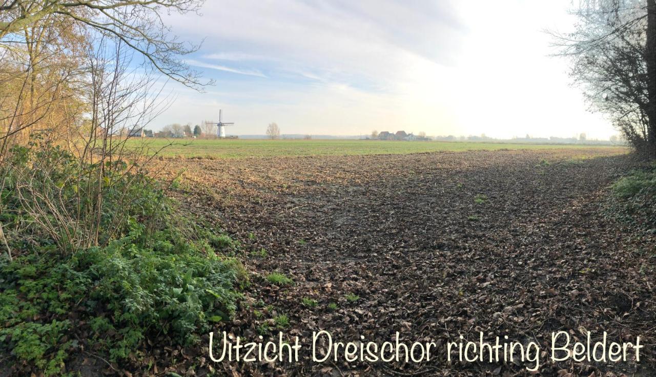 DreischorDe Drei Schorre住宿加早餐旅馆 外观 照片
